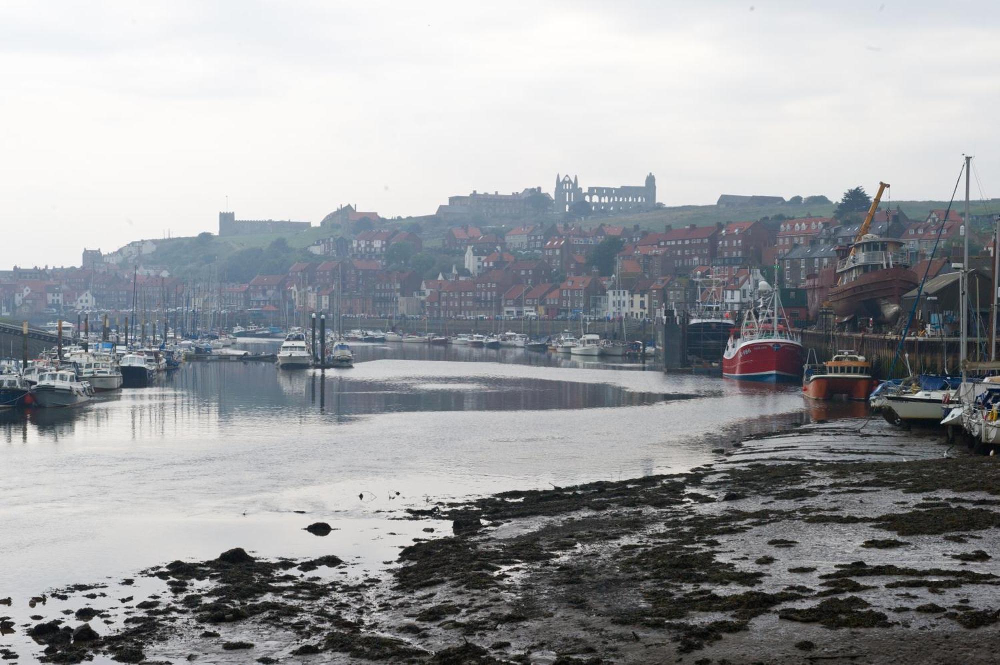 Watermark Apartments Whitby Rom bilde